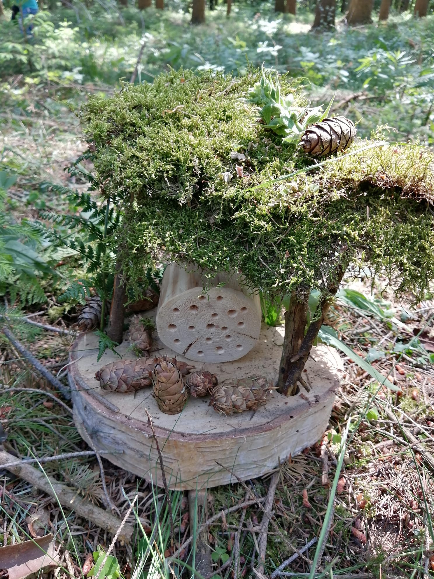 Kunst im Wald